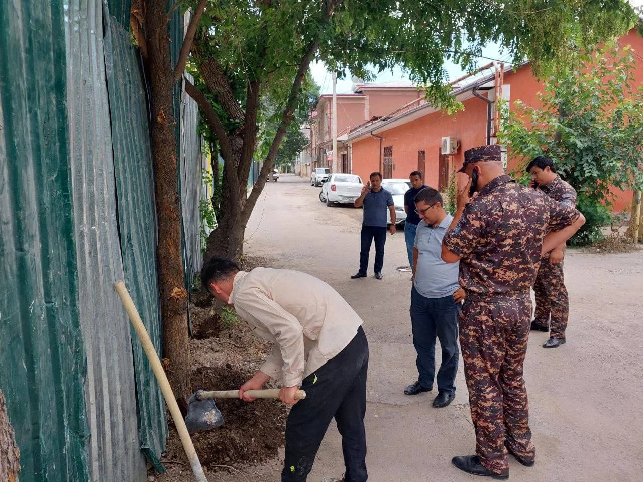 Экология қўмитаси ходимлари ва ишчилар дарахтлар ёнида ўрганиш ўтказмоқда