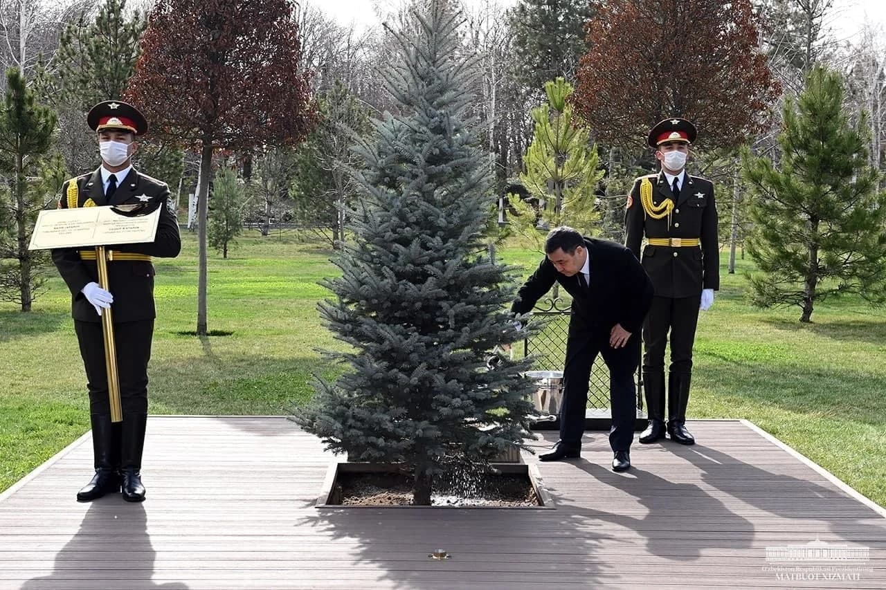 Sadir Japarov archa ko'chatiga suv quymoqda