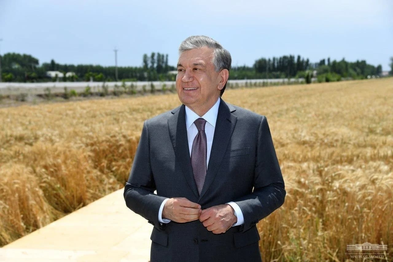 Шавкат Мирзиёев ғалла майдони фонида